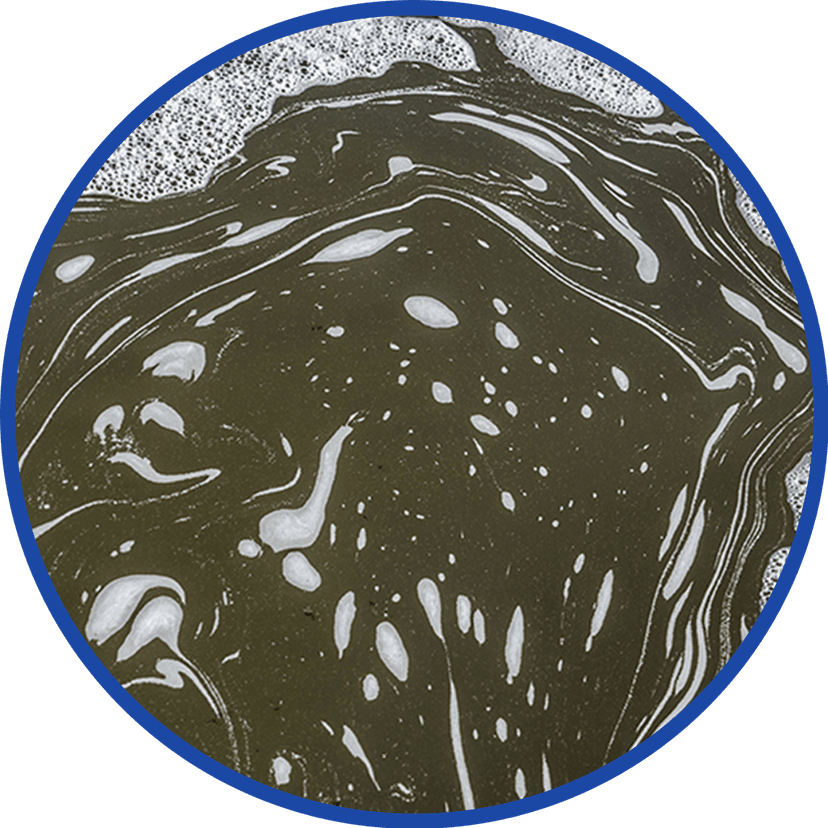 Untreated water